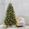 7.5ft. Pre-Lit Melody Spruce Artificial Christmas Tree, Music Sync Colour Changing Mini LED Lights by Ashland®